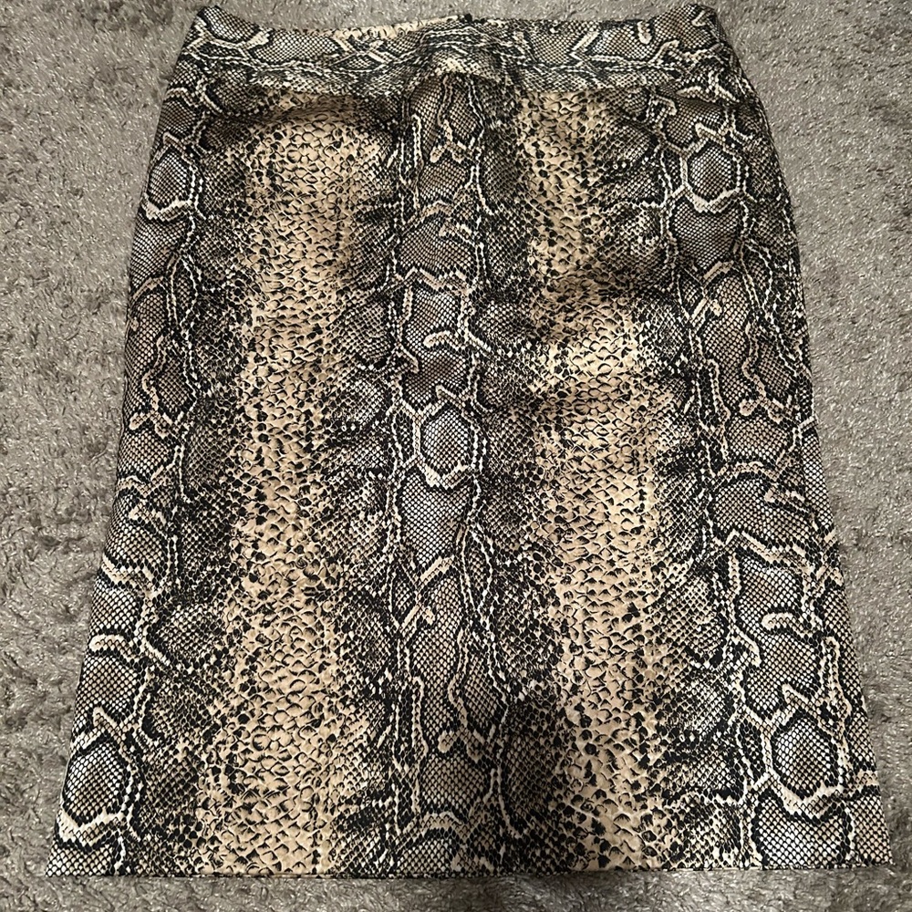 Snake Print Skirt